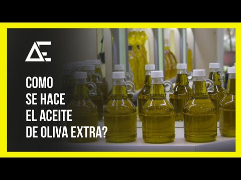 Proceso de fabricación del aceite de oliva: todo lo que necesitas saber