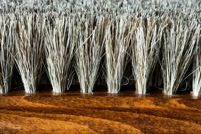 Closeup of shoe brush