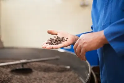 Close-up of man holding roasted coffee beans