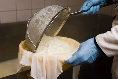 Man preparing a new type of cheese